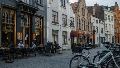 ‘Leave them where they belong’: Bruges implores tourists to stop stealing cobblestones
