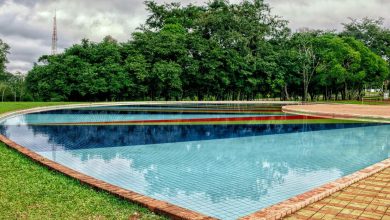 12 Creative Ways to Transform Your Yard with Pool Landscaping