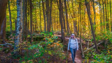 22 Best Places to Visit in September USA (2025 Edition)