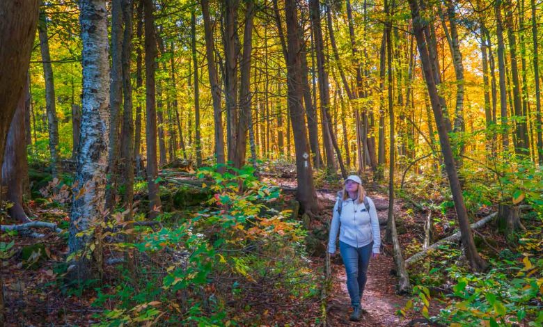 22 Best Places to Visit in September USA (2025 Edition)