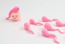 7 sex myths busted by a fertility specialist; says ‘outdated beliefs can delay pregnancy’