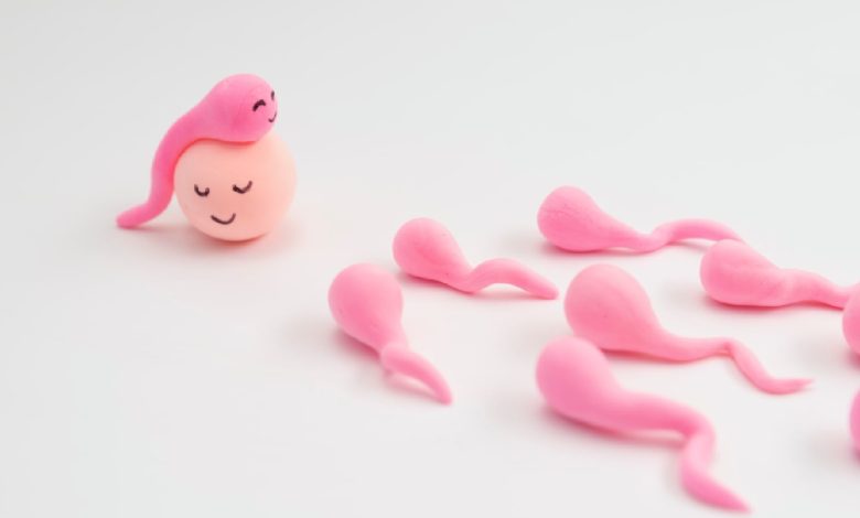 7 sex myths busted by a fertility specialist; says ‘outdated beliefs can delay pregnancy’