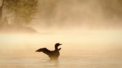 17 Best Things to Do in the Upper Peninsula, Michigan (2025 Guide)