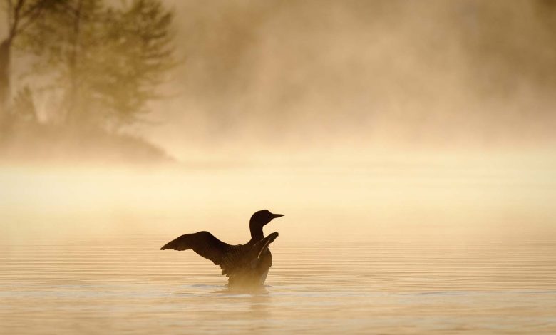 17 Best Things to Do in the Upper Peninsula, Michigan (2025 Guide)