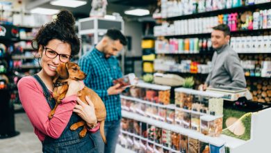 Top 11 Low-Cost Pet Essentials Every Pet Lover Needs
