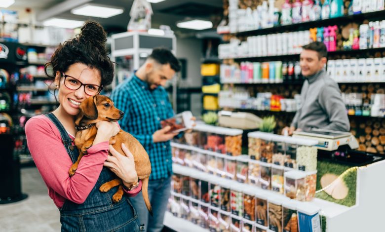 Top 11 Low-Cost Pet Essentials Every Pet Lover Needs